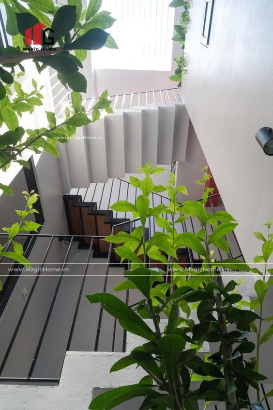 Thiet Ke Gieng Troi Magichome00013 2